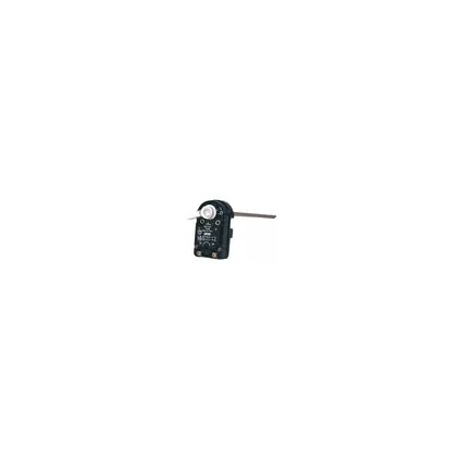 Thermostat à canne embrochable RESTER 220V et toutes les pièces de chauffe eau électrique RESTER