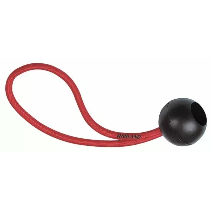 Lot de 10 attaches Rapide Elastique Boule ECO-BRICOLAGE -